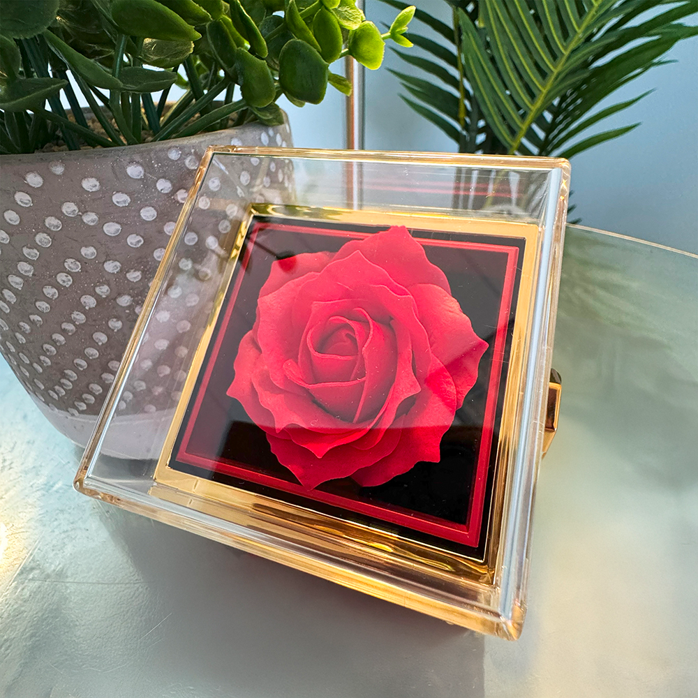 Eternal Bond – Love Knot Necklace with Rotating Rose Gift Box
